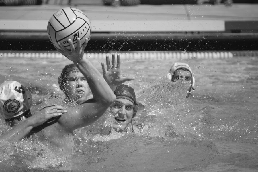 New water polo coaches prepare for first season