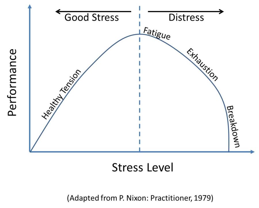 Stress can have both positive, negative effects on mental health