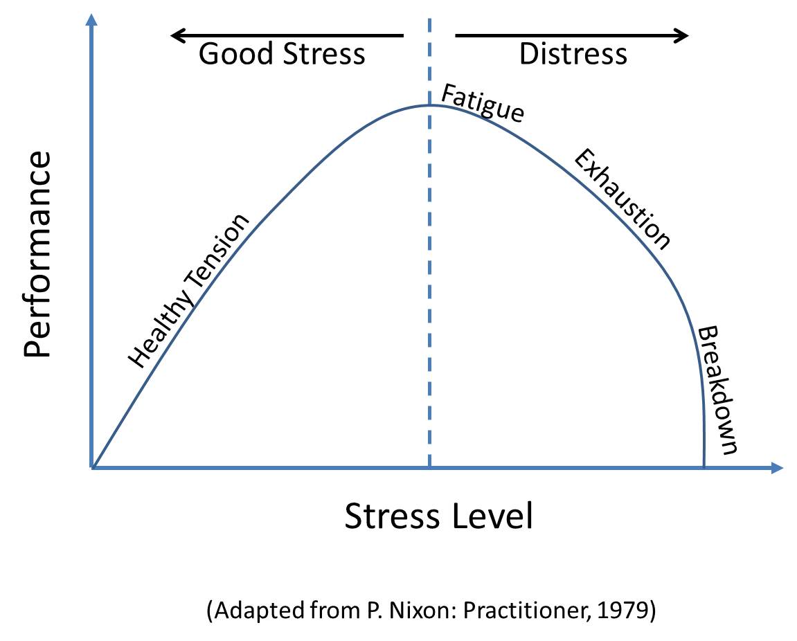 Positive and Negative Types of Stress - Buckeye OnPACE