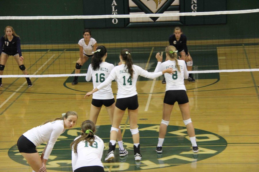 The+volleyball+team+prepares+to+receive+the+serve+in+a+regular+season+game+at+Paly.