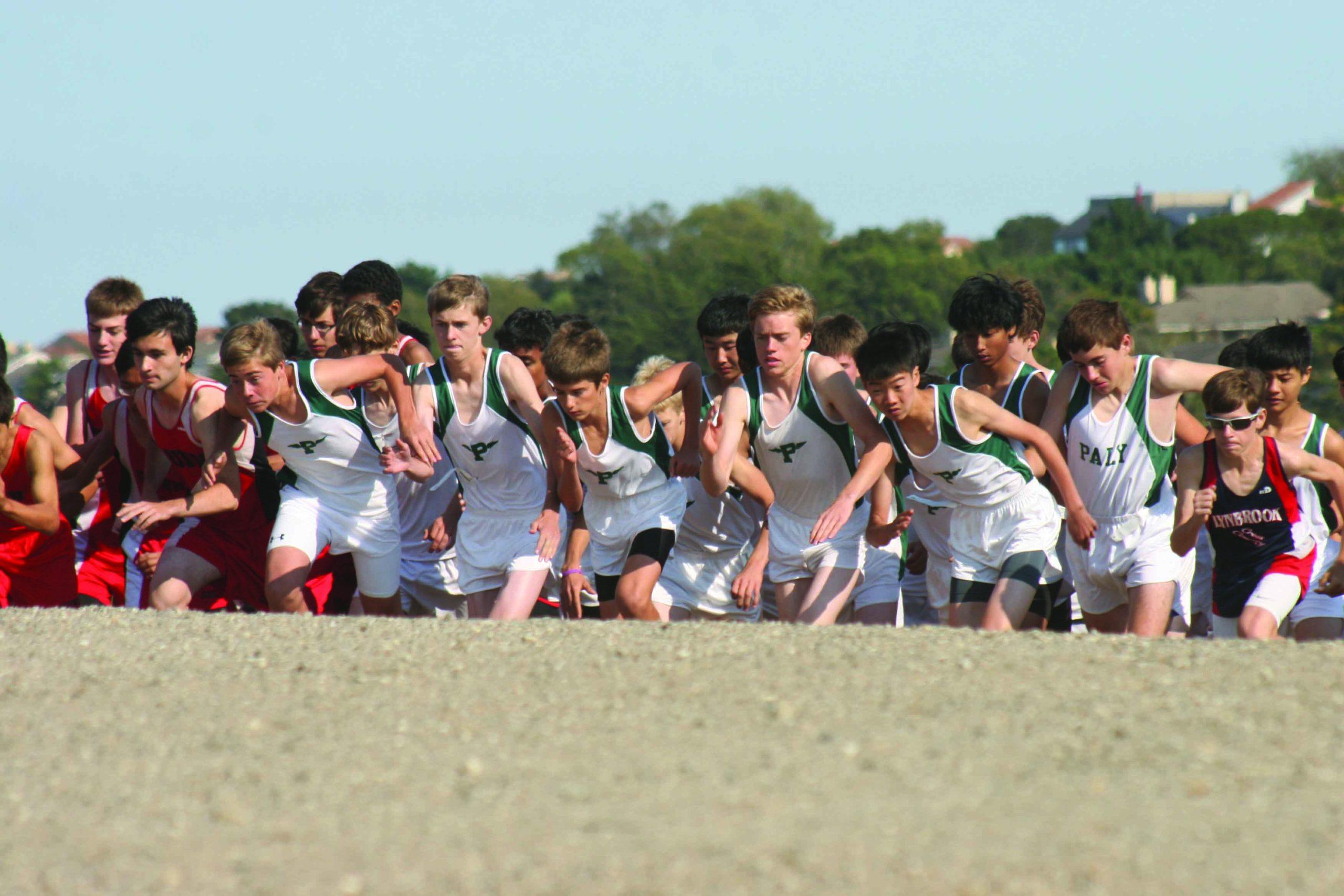 The boys’ cross country team, pictured here at the Crystal Springs cross country course, placed ninth at CCS.