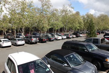 Sophomores protest against their inability to purchase parking permits, despite the frequent empty spaces in the Churchill lot. 