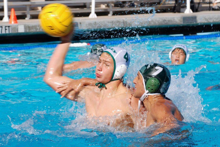Senior Lucas Novak gets ready to pass the ball in a Sept. 16 game, in which paly beat Homestead High School. 