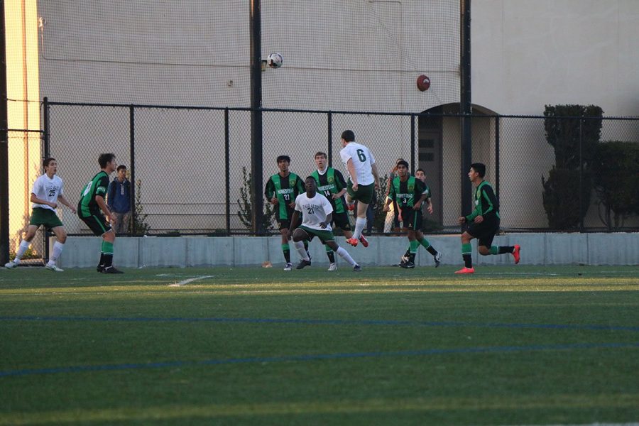 Varsity player Michel Siaba intensely watches the ball as it comes back down during Paly’s game against Homestead. The Vikings went on to win the game by a score of 1-0. Paly has yet to give up a goal to its opposition.