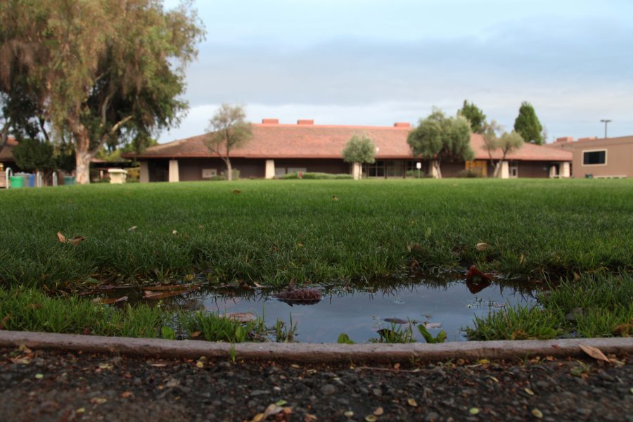 Paly should conserve water by practicing efficient watering techniques so that areas such as the quad are not excessively watered.