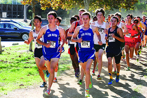 A strong group performance by Paly’s cross country team at the Sunnyvale Baylands meet helped improve their already stellar record.