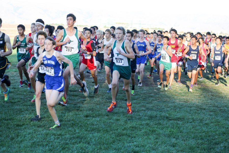 Palo Alto High School cross country team members frequently use math and science skills in order to better their performance.