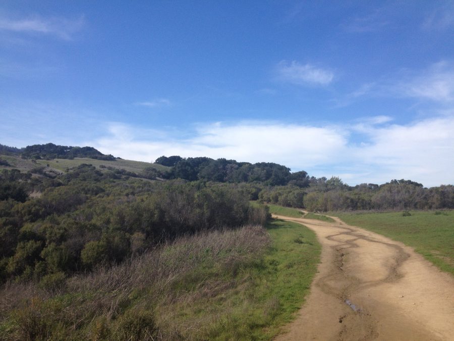 The best Bay Area hiking spots