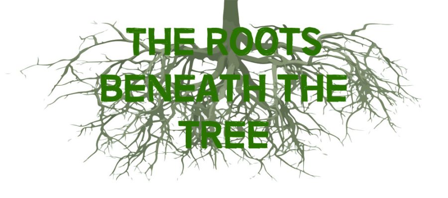 The Roots Beneath the Tree