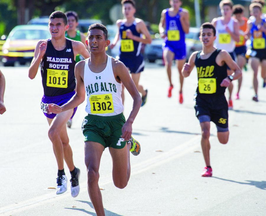 Cross country conquers final hill at competitive State meet