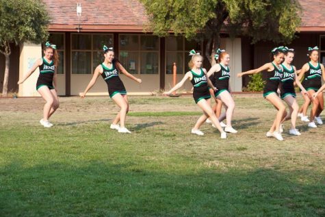 Differentiating between dance and cheer teams