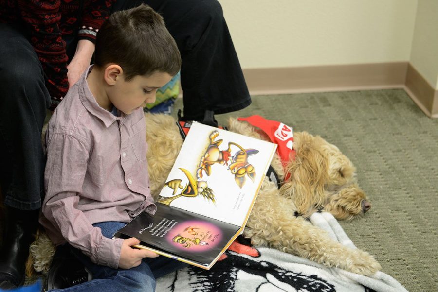 Therapy dogs assist with visual, sensory impairments