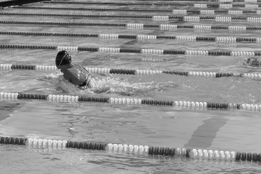 Swimming and diving team aims to maintain season’s success