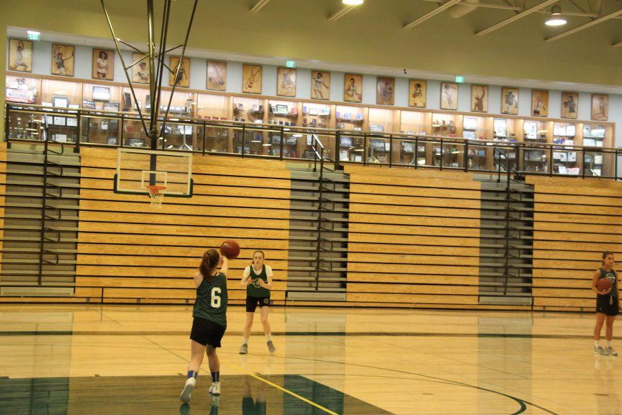 Girls basketball team hopes to replicate previous seasons success