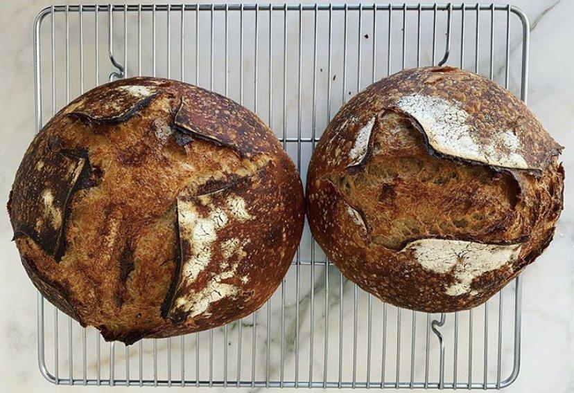 Sourdough+bread+encounters