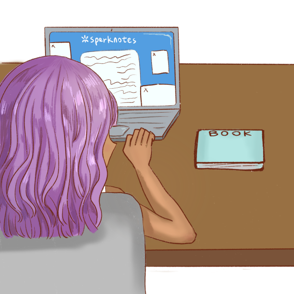 Use of SparkNotes debated