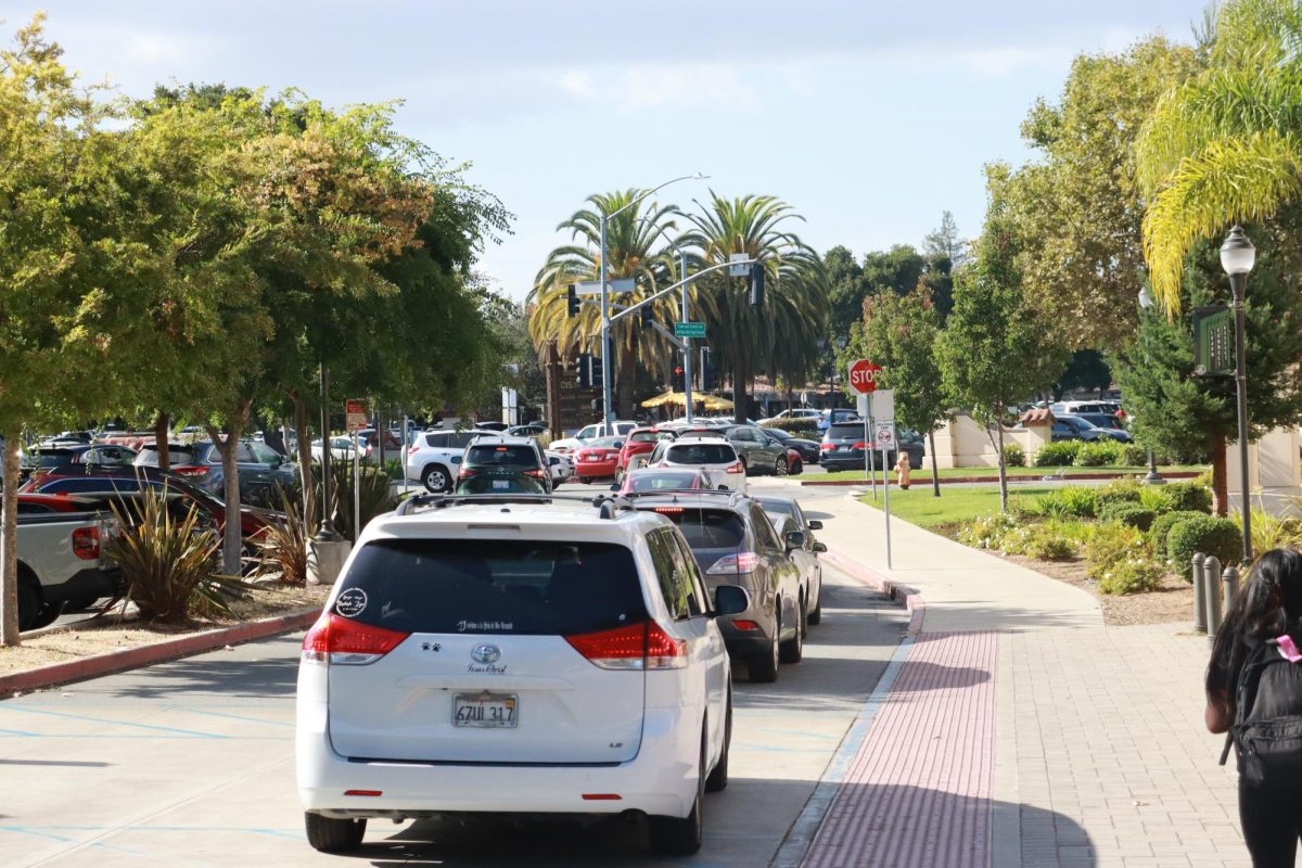 Car usage normalized amongst students