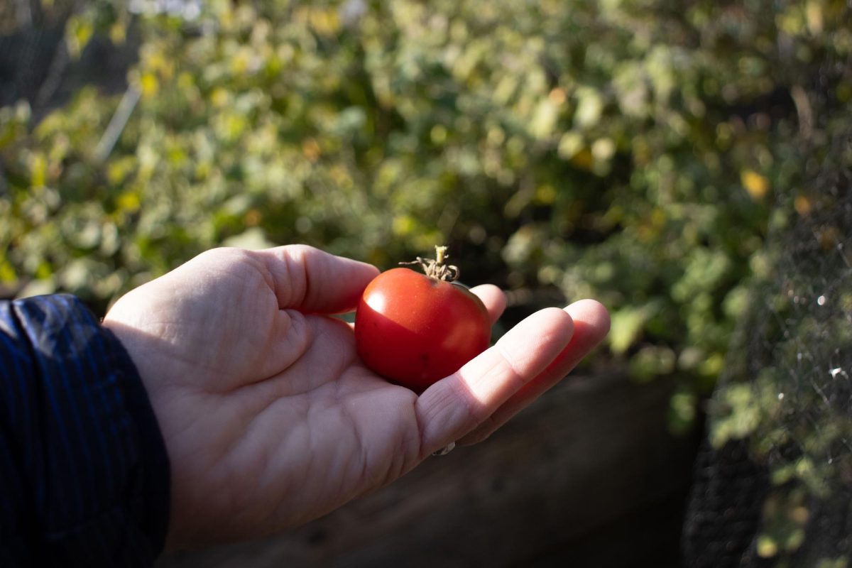 Blooming community gardens