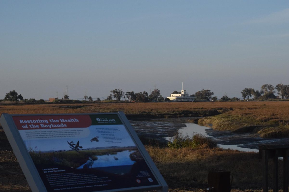 The Palo Alto “living levee” project aims to enhance flood protection and improve water quality. “Success over the next few years for the project would look like the habitat getting established (and) people accessing the site and enjoying the site and engaging with it,” Program Manager of the San Francisco Estuary Partnership Heidi Nutters said.